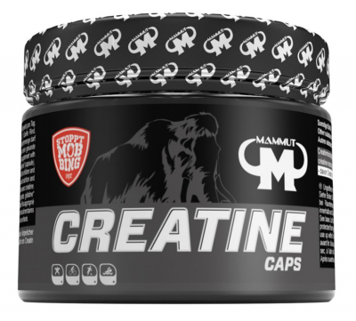 Mammut - Creatine Monohydrat Caps - 240 Kapseln